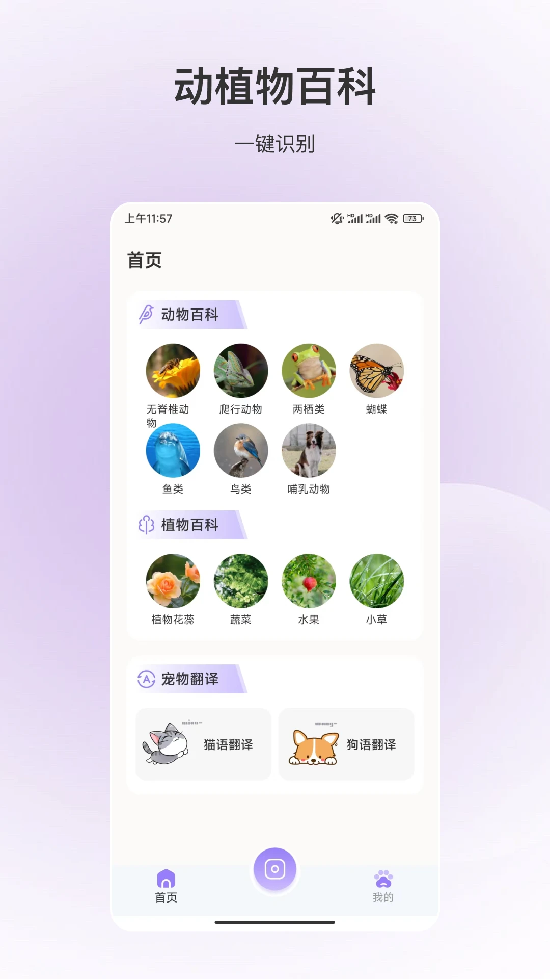 百科全书