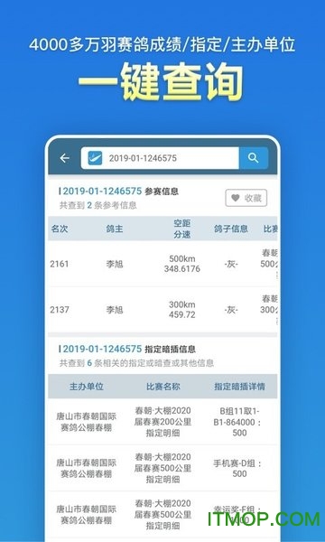 信鸽足环号网