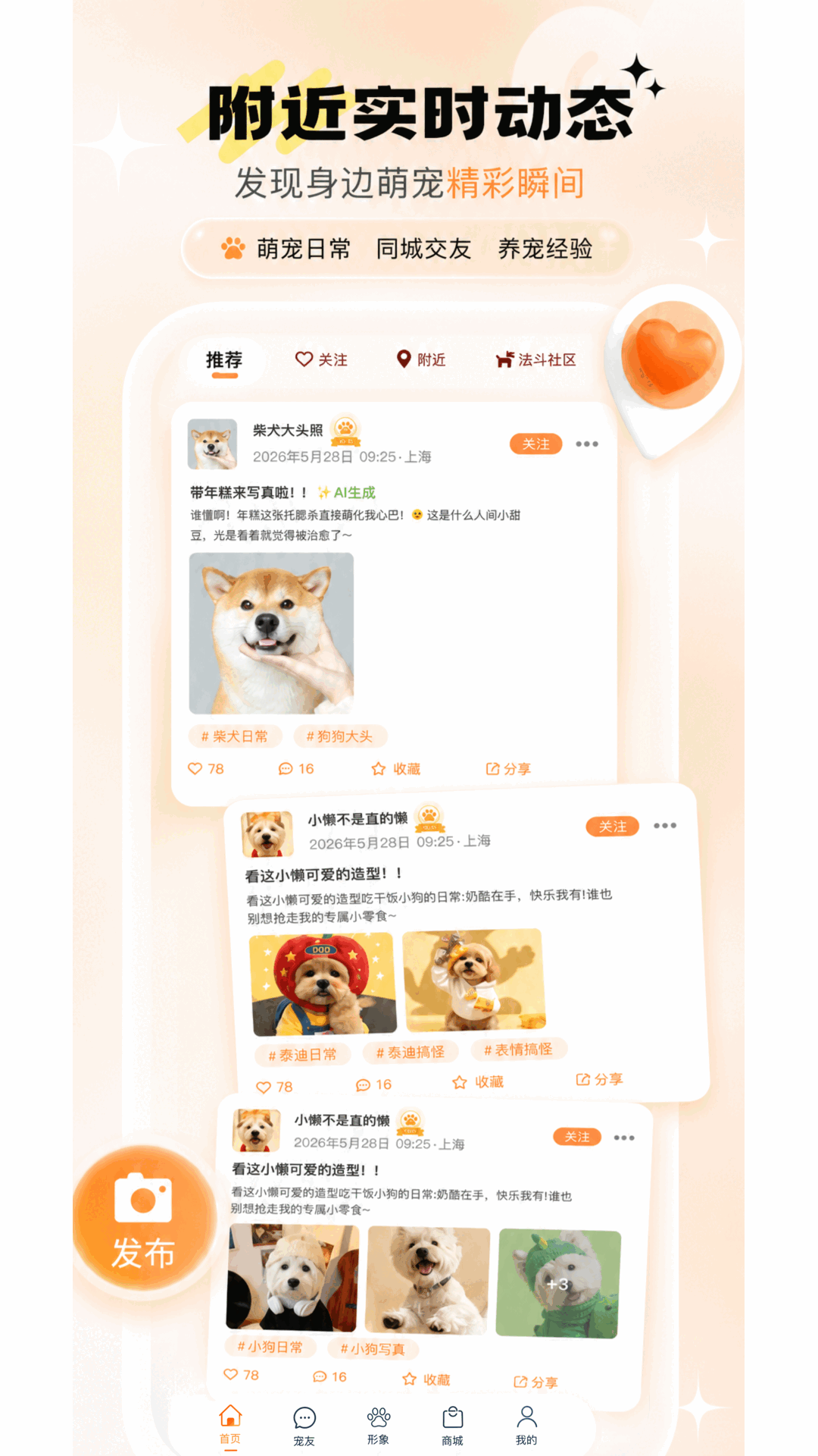 宠问