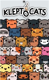 小偷猫