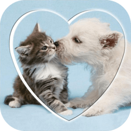 猫语狗语翻译交流器