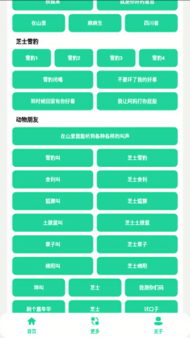 丁真盒