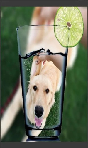 趣拍玩图照相机APP 最新版v8081.24.7.12