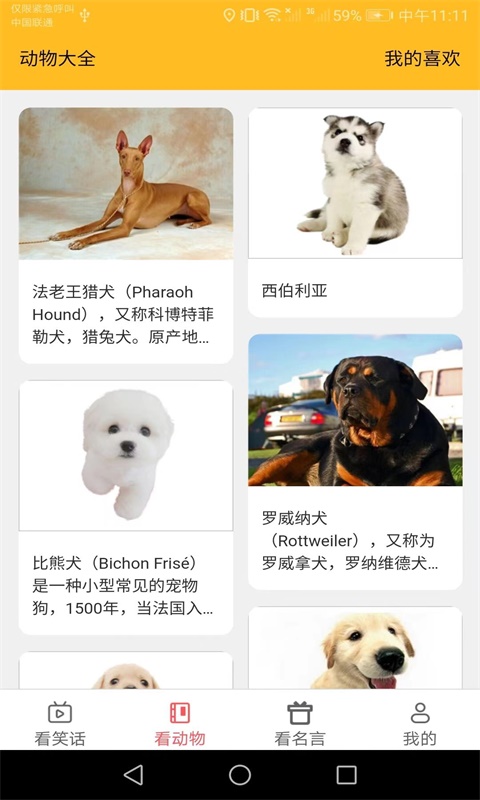 看多多