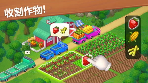 Township安装器 Township安装器