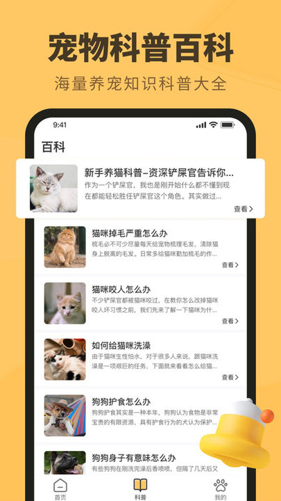 宠物记