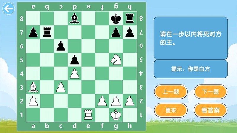 国际象棋