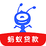 蚂蚁金条