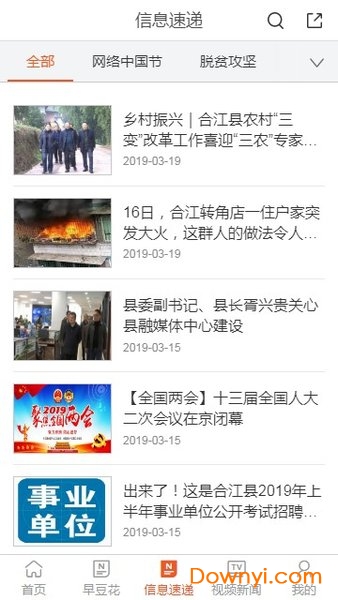 合江荔枝红