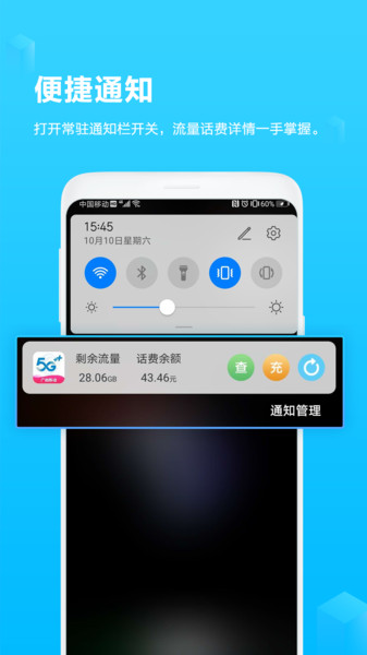 和掌桂