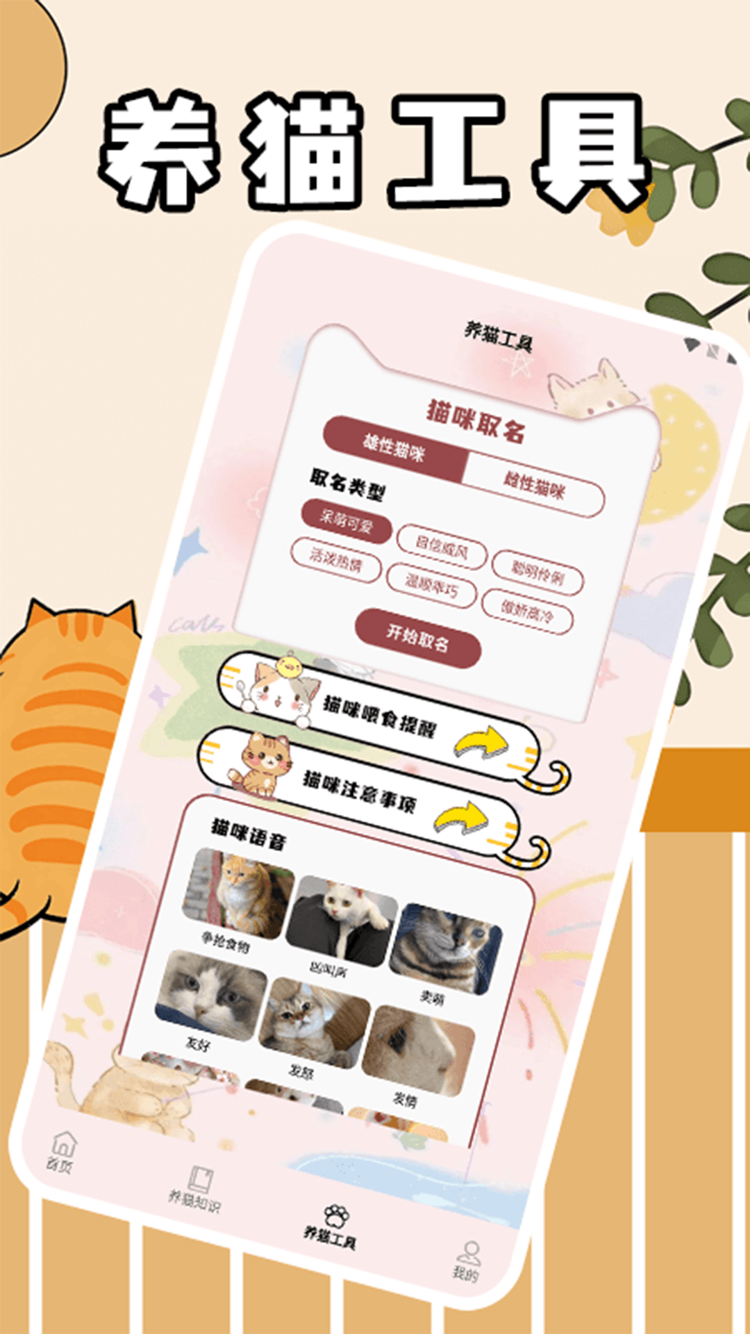 筑梦猫舍极速版