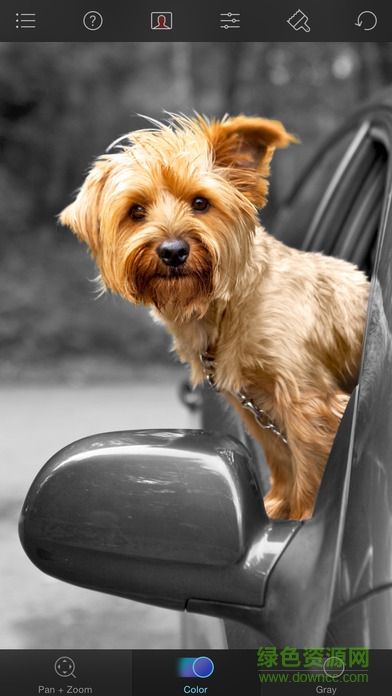 Color Splash Photo