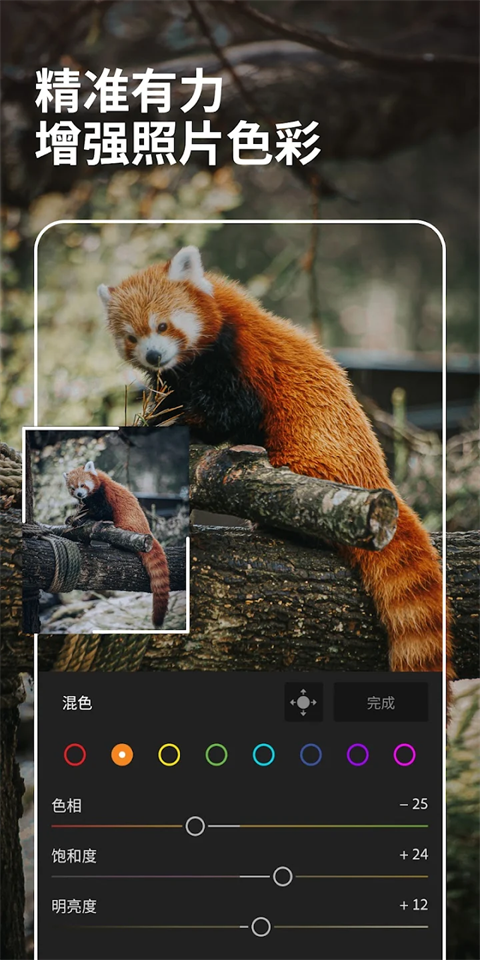 LR图片映像调色