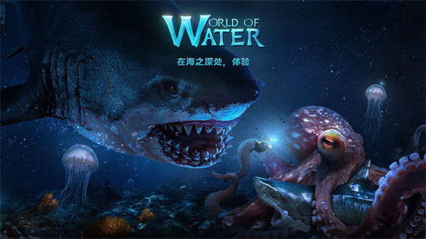 World of Water安装器