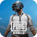 pubg越南服 直装版