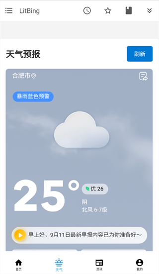 LitBing app下载