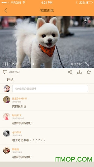 单身狗趣味视频