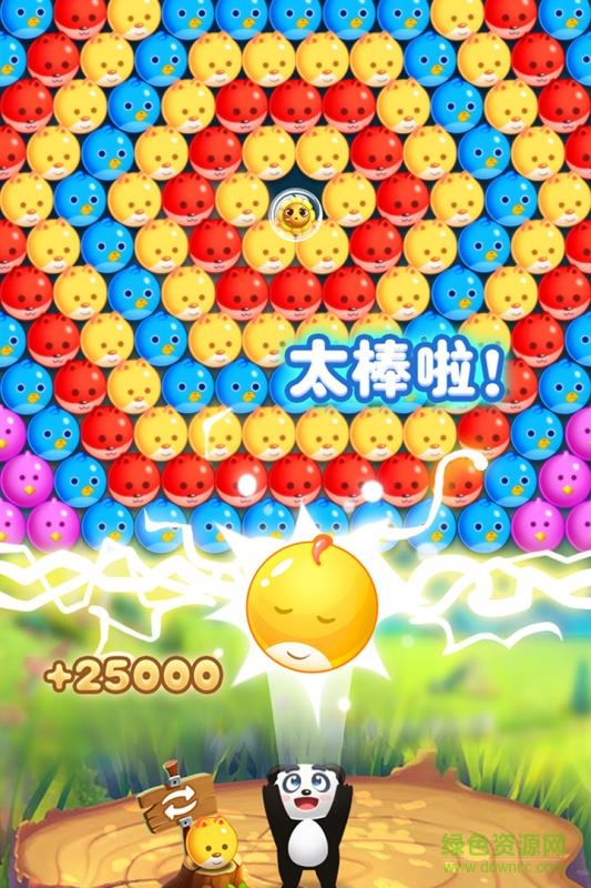 宠物泡泡龙 宠物泡泡龙