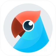 有道翻译官去广告版