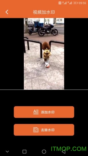 小视频助手
