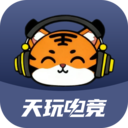 天玩电竞