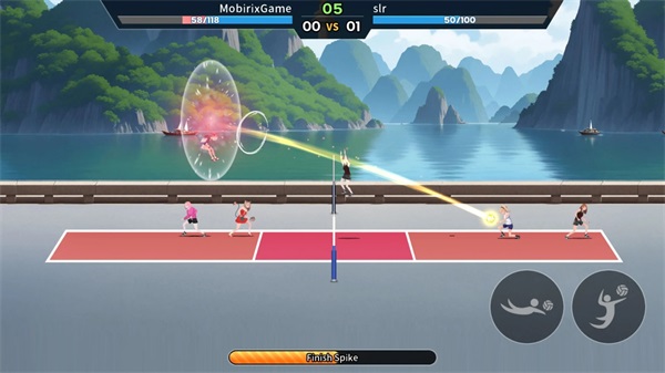VolleyBall King安装器
