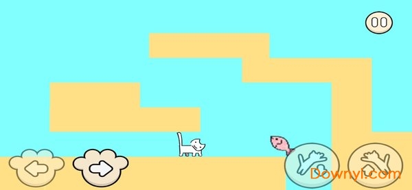 我家猫有残疾