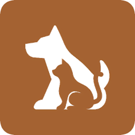 这是什么狗官方版