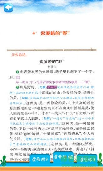 六年级上册语文详解