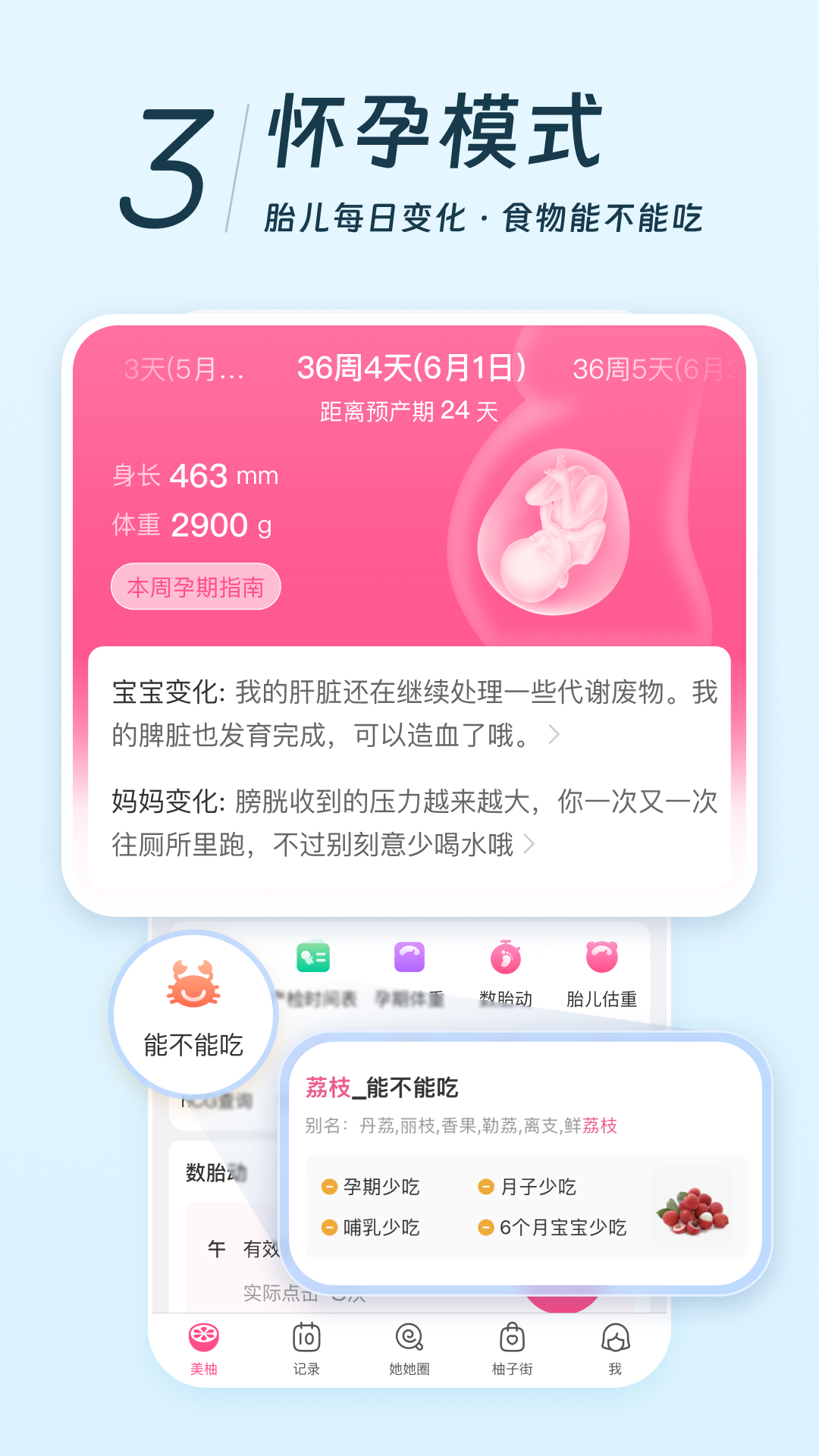 每柚