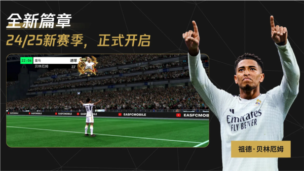 FIFA足球世界下载器