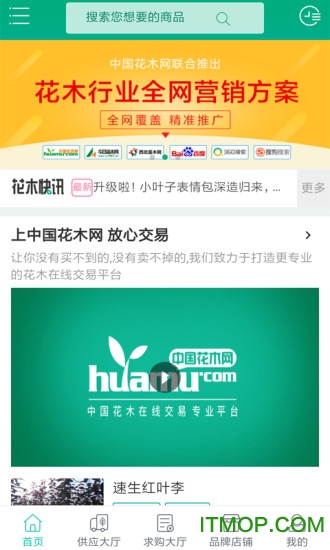 花木网