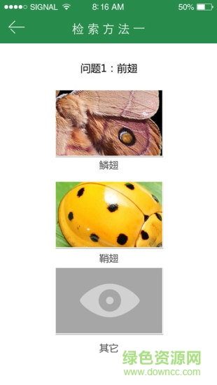 上海昆虫