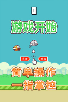 飞翔的小鸟