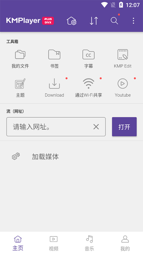 KMPlayer Plus (Divx)