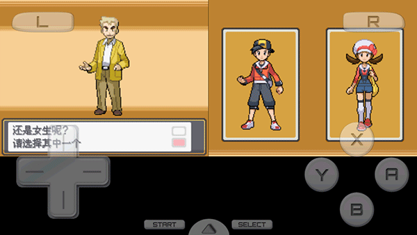 口袋妖怪：心金