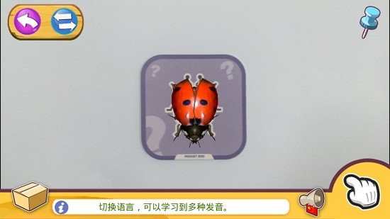小熊尼奥口袋动物园2