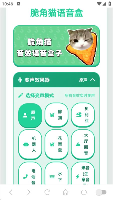 脆角猫语音盒