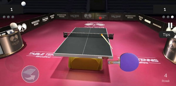 Table Tennis ReCrafted!