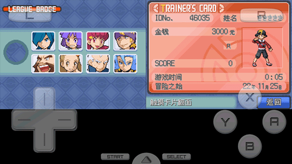 口袋妖怪：心金