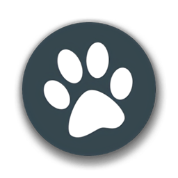 兽音译者翻译器网页版