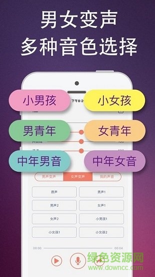 伪音变声器