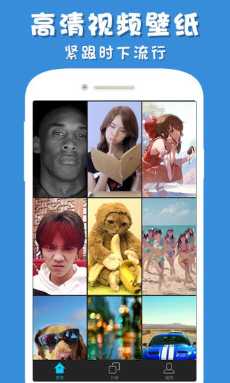 彩蛋视频壁纸手机版 彩蛋视频壁纸手机版