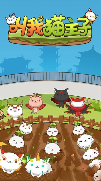 叫我猫主子 叫我猫主子