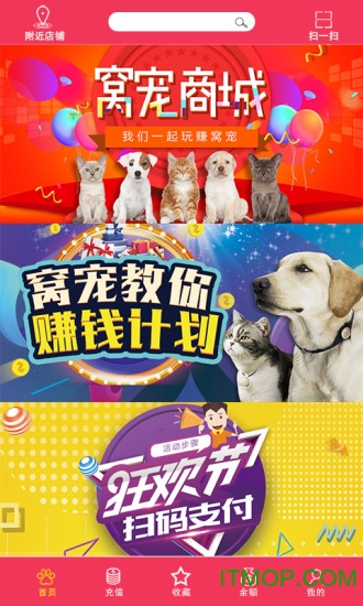 窝宠