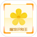 植物识别王