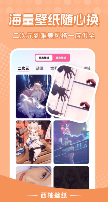 西柚壁纸