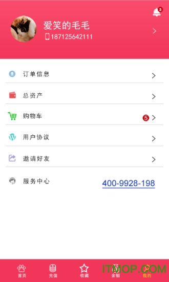 窝宠
