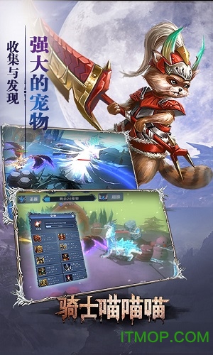 骑士喵喵喵 骑士喵喵喵