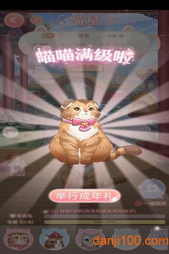 一恋永恒